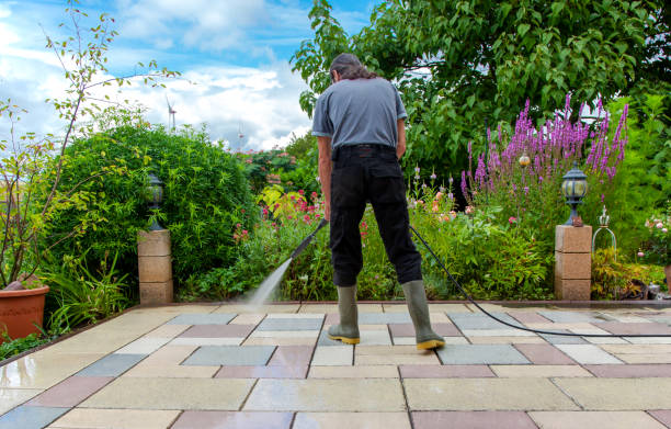 Professional Pressure Washing Services in Pearl Beach, MI